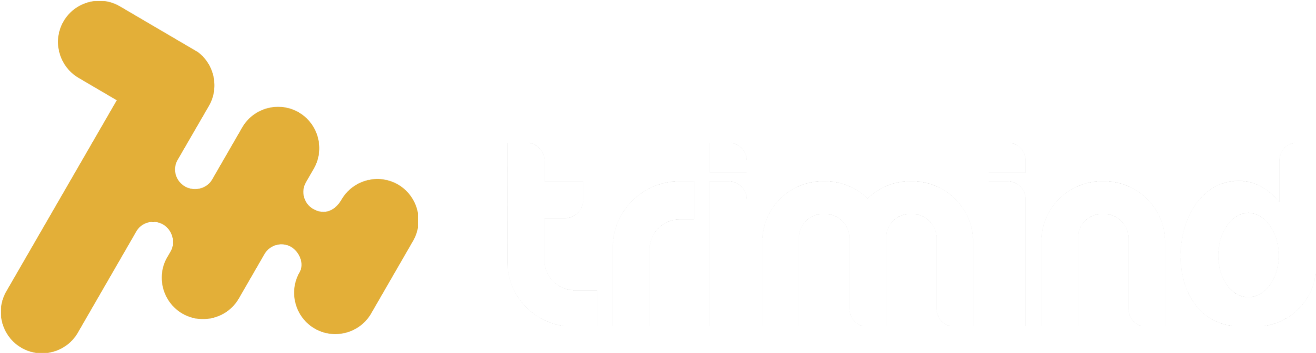 Trimind-Eg